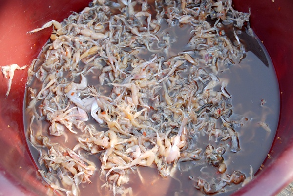 Sau khi lột da nhái xong, cần phải đem đi rửa nước sạch.