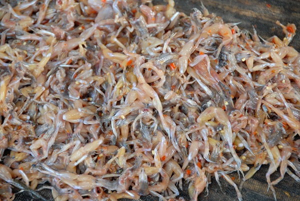 Thông thường ướp khô nhái với nhiều gia vị phải để từ 1,5-2 giờ mới vớt nhái ra phơi. Như vậy gia vị mới thấm vào thịt nhái ăn mới ngon.