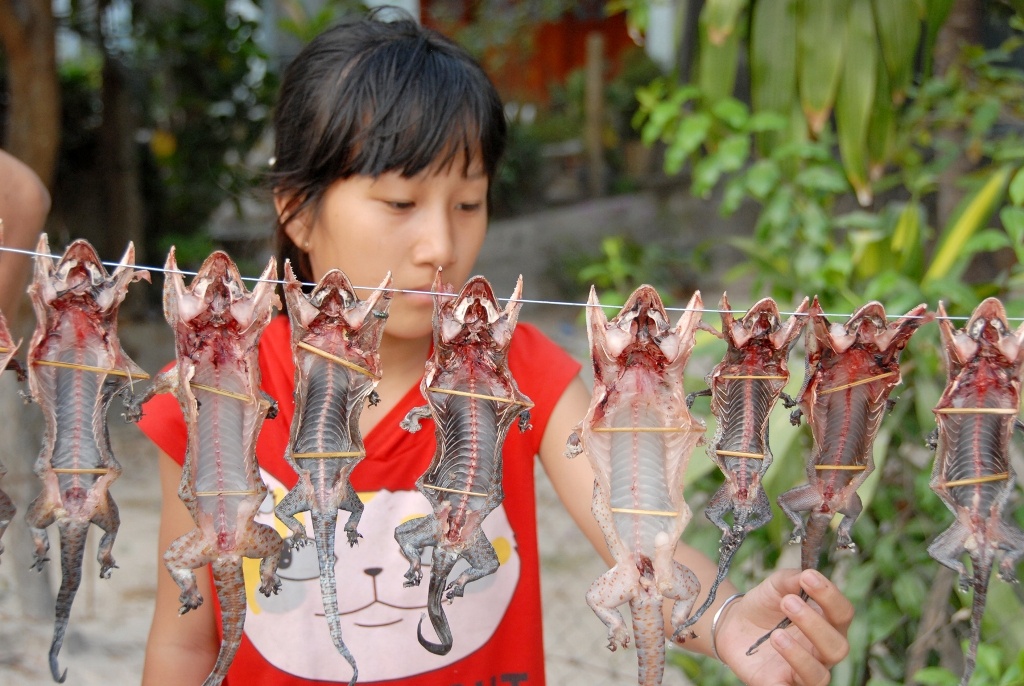 Để phục vụ cho khách hàng tốt hơn, chánh đem con sống về nhà giết mổ. Tiểu thương làm sẳn loại tắc kè phơi khô khách chỉ mua về ngâm rượu.