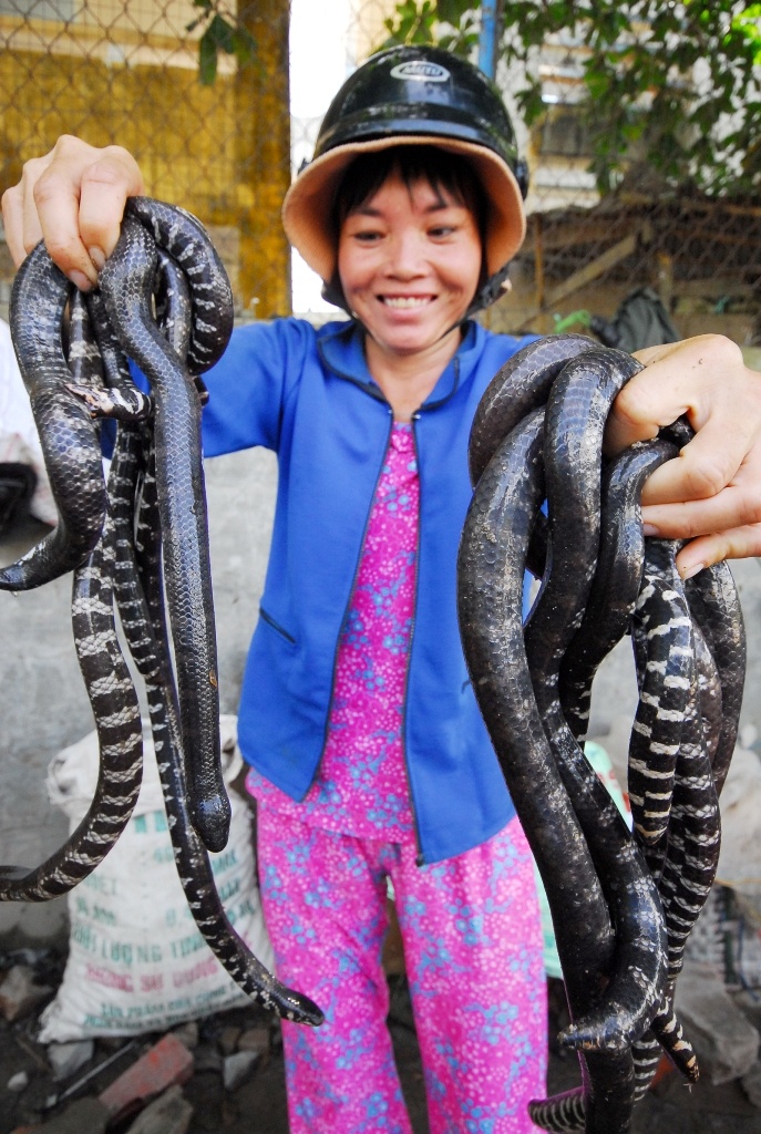 Rắn trun cũng được bài bán rất nhiều tại chợ biên giới này để phục vụ ngâm rượu hay chế biến các món ăn phục vụ tốt cho đắng mài râu.