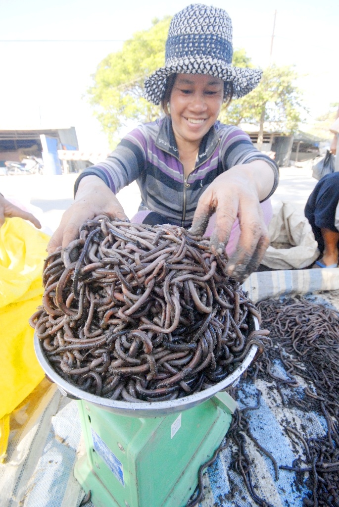 Gía bán mỗi ký trùn từ 15.000 - 20.000 đồng, tùy theo mua lẻ hay mua sỉ.