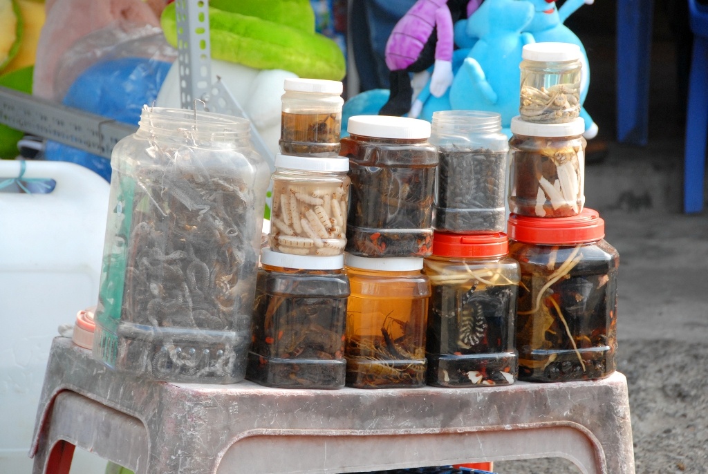 Chợ côn trùng ở đây được bày bán dưới nhiều hình thức, tươi sống, ngâm rượu và chế biến thành món ăn… ngay những vị trí 