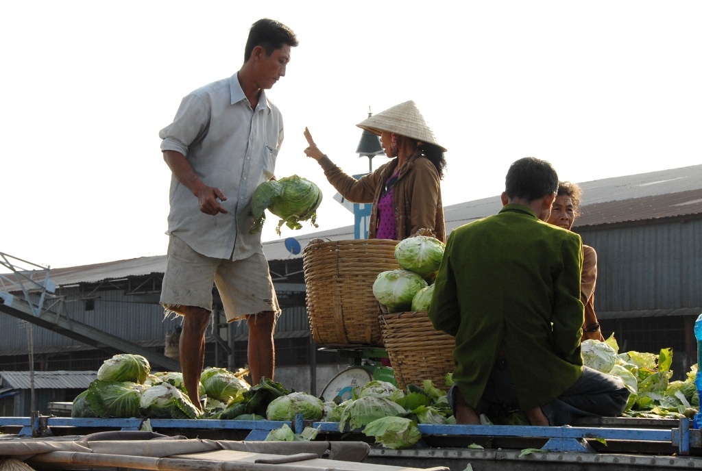 Giá bắp cải tại ruộng ở An Giang thương lái mua khoảng 500 đồng/kg, còn loại tốt giá 800-1.000 đồng/kg. Nhưng điều nghịch lý khi ra một số chợ giá bán khoảng 6.000 đồng/kg, tăng gấp 5-6 lần so với nông dân bán. Tỷ lệ giá trên lệch rất lớn, khiến nhiều nông dân chịu thiệt. 