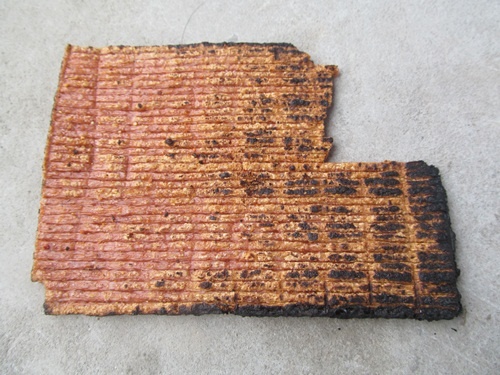 Su that 'suon bo thom cay' nghi lam tu xop dau doc hoc sinh hinh anh