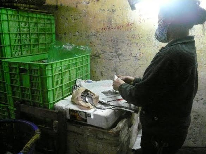 “Công nhân” đang cho xoài “ngậm” hóa chất thúc chín.