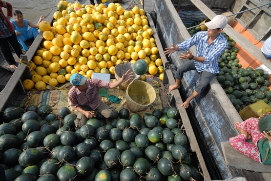 Thông thường dưa hấu trồng mùa nắng cho trái ngọt hơn so với các vụ khác.