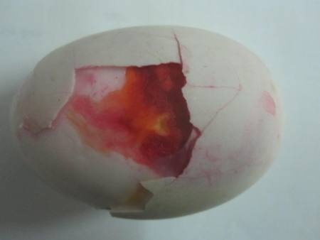 Quả trứng lạ gây hốt hoảng cho gia đình anh Tuấn.