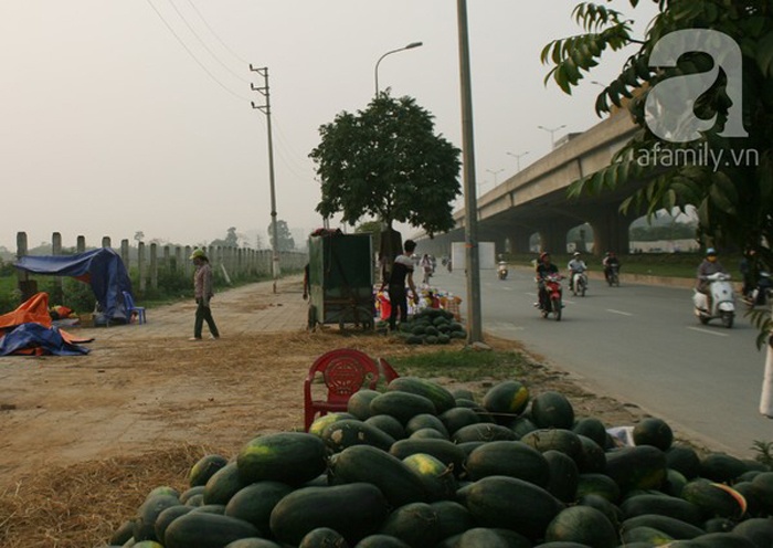 Tình hình vẫn chưa mấy khả quan, đoàn xe vẫn khá khó khăn để vượt qua biên giới. Nhiều thương lái đành phải chở dưa đi các tỉnh như: Hòa Bình, Phú Thọ, Hải Dương, Hưng Yên... và cả Hà Nội để bán.