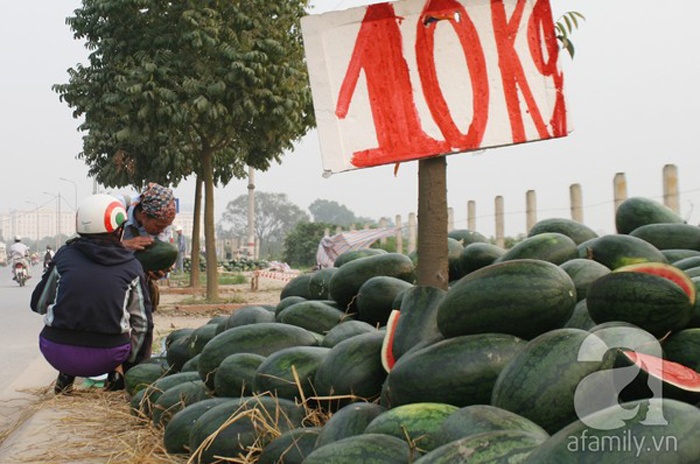 Giá của 1kg dưa hấu dao động từ 8.000 đến 10.000 đồng. 