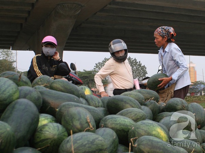 Theo tiết lộ của một chủ hàng tại đây thì dưa được nhập từ các chủ vựa từ Bình Định, Quy Nhơn... tính cả công vận chuyển thì mỗi kg rơi vào khoảng 6.000 đồng.