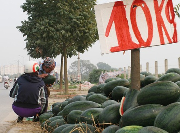 Dua hau un u tai cua khau Tan Thanh mang ve ban o Ha Noi hinh anh