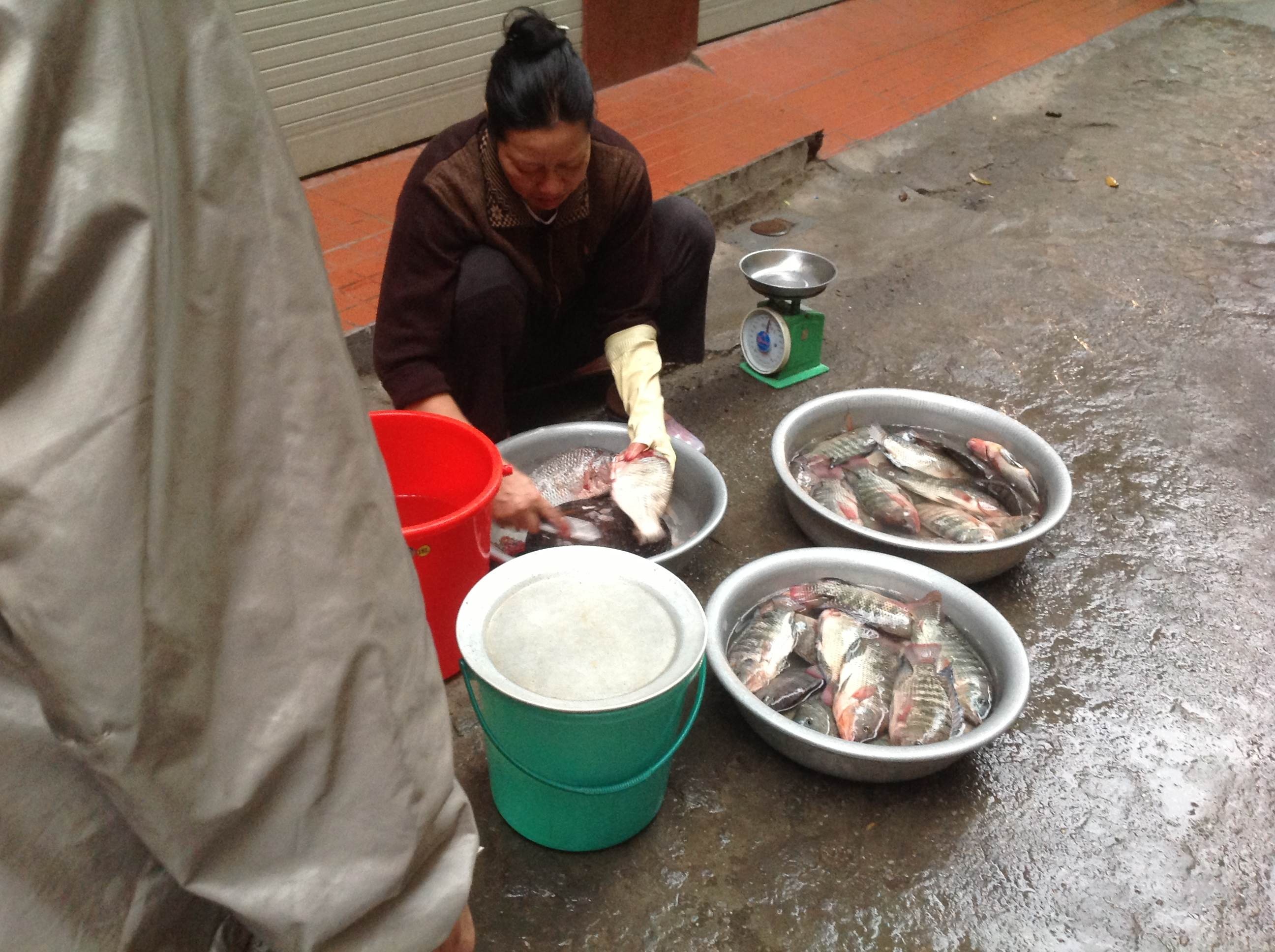 Ca tram ho Tay gia nua trieu dong van hut khach hinh anh