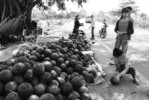 Nguoi nong dan co don tren manh ruong hinh anh