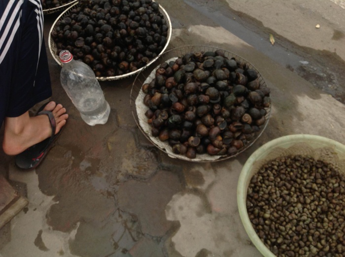 Oc dong ‘nhai’ oc ho Tay de ban gia cao hinh anh