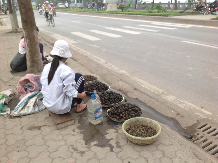 Ven đường hồ Tây có một số người bán ốc, quảng cáo là mới được cào lên từ hồ. Ảnh: Nhật An.