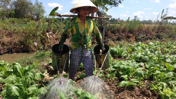 No de nguoi trong rau hinh anh