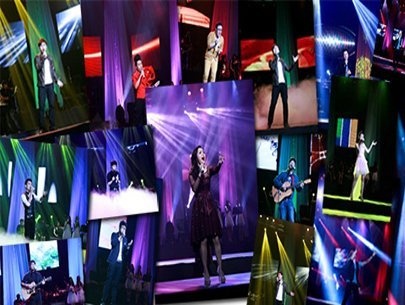 20 nghe si se bi dieu tra thu nhap hinh anh