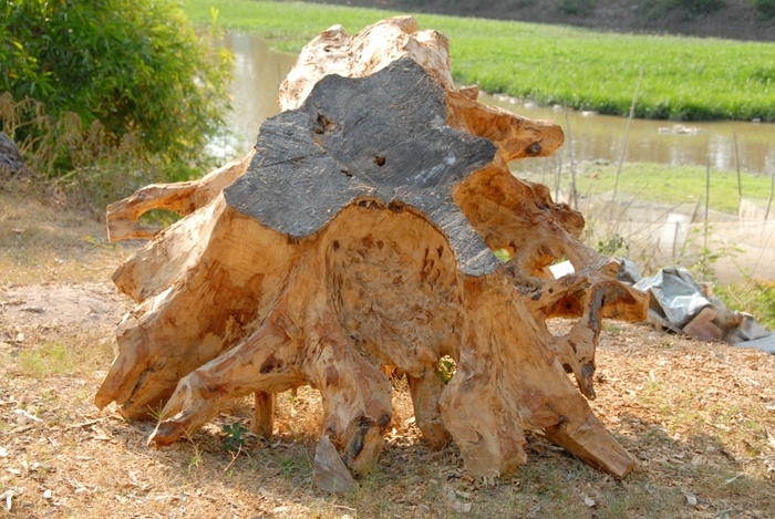 Anh Nguyễn Văn Thanh chia sẻ: Thực tế do vốn liếng còn hạn hẹp nên hai anh em chỉ mới “khởi động” công việc này bằng cách làm gia công cho các đại gia mê chơi đồ gỗ tạo hình. Với cách này mình chỉ bỏ công lấy lời, trung bình mỗi bộ thấp nhất từ 10 triệu đồng đến cả 100 triệu đồng, tùy theo độ tinh xảo, kỳ công của tác phẩm mà mình tính tiền với khách.