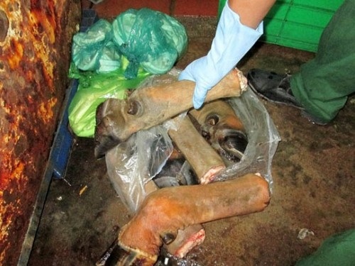 Lo tay trang trau bo thoi o ngoai thanh TP.HCM hinh anh