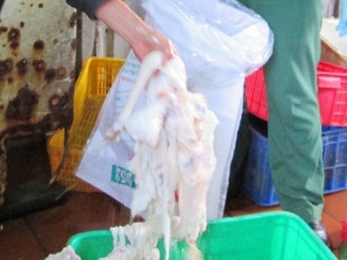 Gân trâu bò sau sơ chế trắng bất thường.