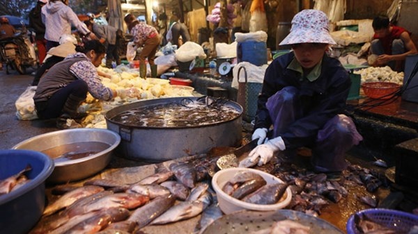 Thuc pham cho dau moi: buon ban ban dem, kiem dich ban ngay hinh anh