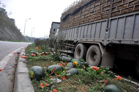 Dua hau 800 dong va nhung cai chet bao truoc hinh anh