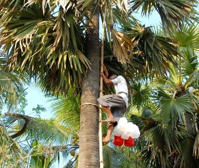 Kiem tien voi nghe 'an com duoi dat lam viec tren troi' hinh anh
