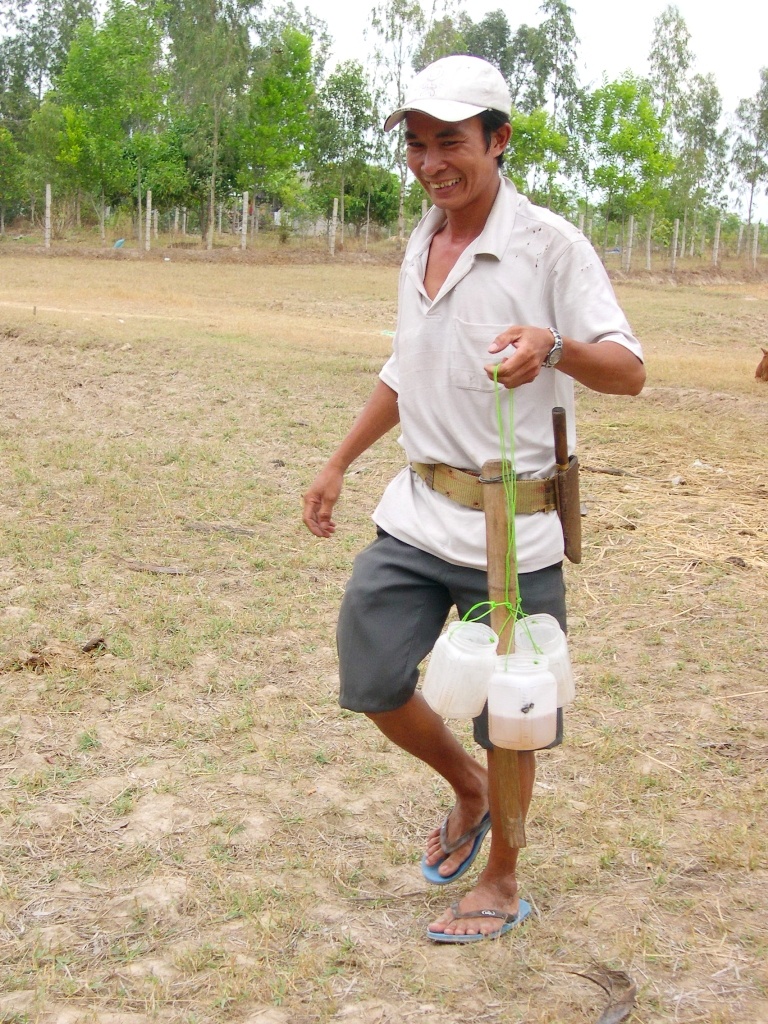 Anh Kim Seng (phum Phnom Pi, xã Châu Lăng, huyện Tri Tôn) kể, nếu một hộ thuê 15 đến 20 cây thốt nốt, trừ  chi phí vật liệu còn kiếm được trên 250.000 đ/ngày. “Thời vụ khai thác nước và nấu đường thốt nốt kéo dài từ sáu đến bảy tháng, cao điểm nhất là vào dịp lễ hội Vía Bà Chúa Xứ núi Nam (thị xã Châu Đốc).
