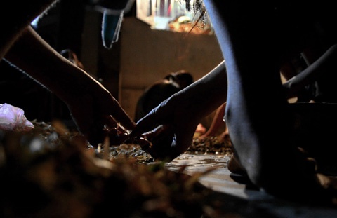 Gia đình anh Nguyễn Văn Mạnh ở thôn Đức Thụ - một trong những hộ “xuất khẩu” châu chấu lớn của xã. Mỗi ngày gia đình anh xuất đi cả tấn châu chấu phục vụ thị trường, thu nhập từ vốn và nhân công được trên 2 triệu đồng.