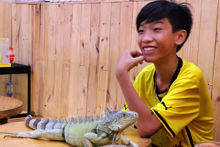 Một bạn trẻ thích thú vui đùa với một chú bò sát cho biết: “thật thú vị khi tậnmắt nhìn và vuốt ve những con bò sát mà bình thường thấy chỉ xuất hiện trên tivi,hoặc internet vì hiếm có ở Việt Nam”.