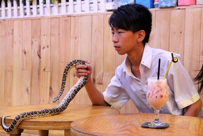 Một bạn trẻ đangg vui đùa cùng một chú trăn.