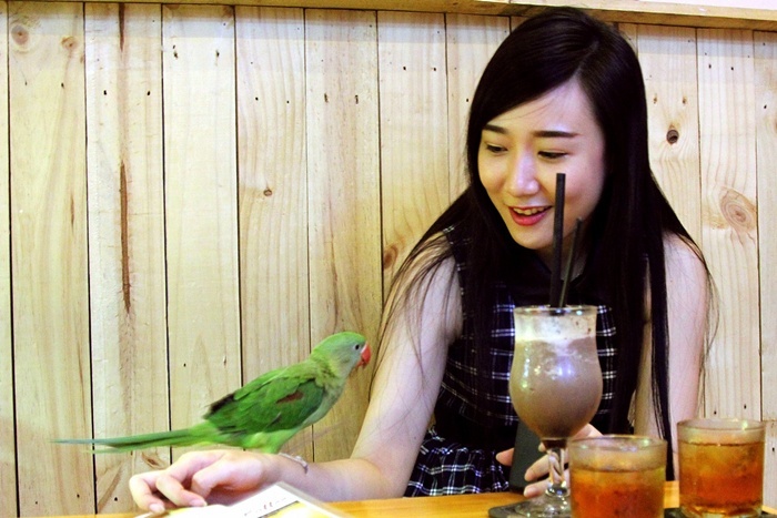 Những con vật thân thiện chủ động làm quen với khách hàng.