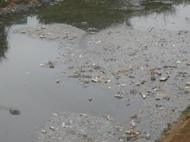 Nước thải là một trong những nguồn “dinh dưỡng” được tận dụng.  