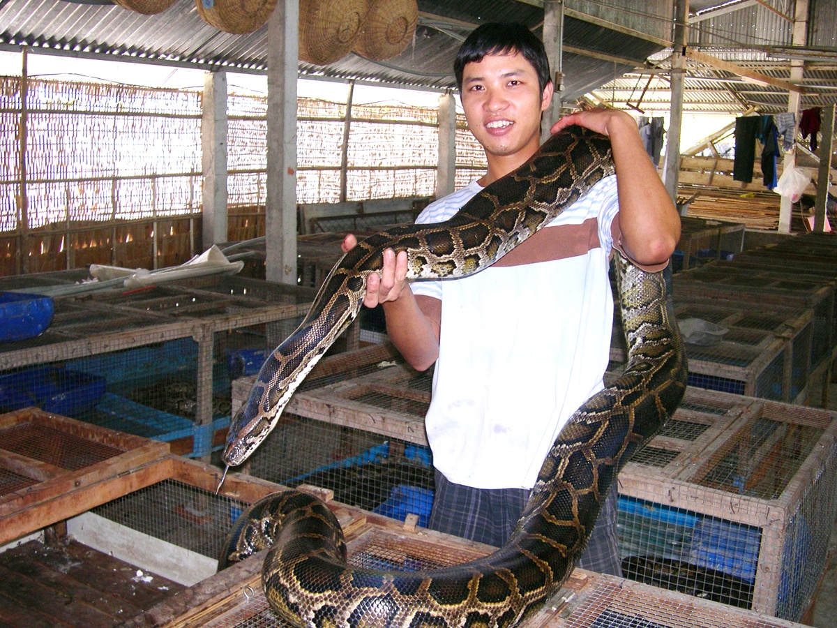 Nuoi tran lay da, nhieu nong dan mien Tay thu tien ty hinh anh