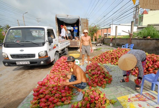 Vận chuyển hàng nông sản, gặp khó, cước phí tăng