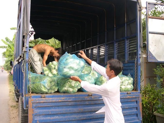 Nhiều ghánh tài xế xe tải cho rằng, nếu xe chở hàng đúng tải trọng xem như không có lời, vì đa phần cái gì cũng tăng nhất là xăng dầu…