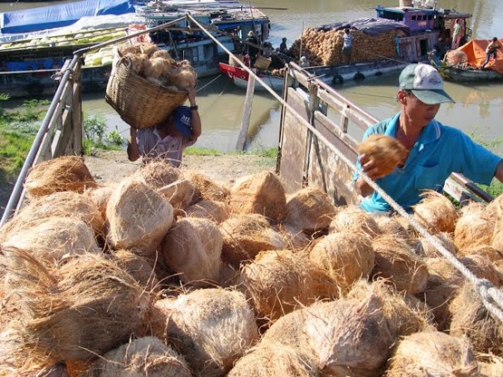 Nong thuy san hut hang, rot gia vi nha xe tang cuoc 3-4 lan hinh anh