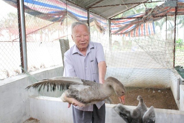 Nguyen Pho Thu tuong va trang trai nuoi vit troi doc dao hinh anh