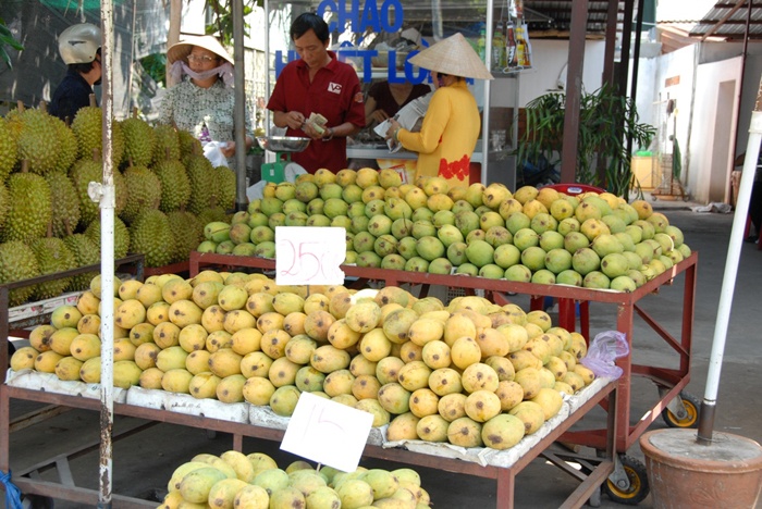 Theo chị Tiết Lan, tiểu thương kinh doanh xoài ở chợ Xuân Khánh, thành phố Cần Thơ cho biết: năm nay lượng xoài về nhiều ở chợ, giá bán giảm nhiều so với mọi năm nhưng sức tiêu thụ lại rất chậm.