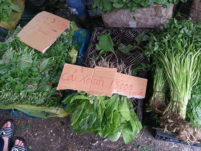 4.	“Vất vả bán rau kiếm từng đồng một, thường dao động 2.500 đồng/mớ. Nếu bán cho khách 2.000 đồng/mớ thì lỗ vốn”, chị Hoài nói.