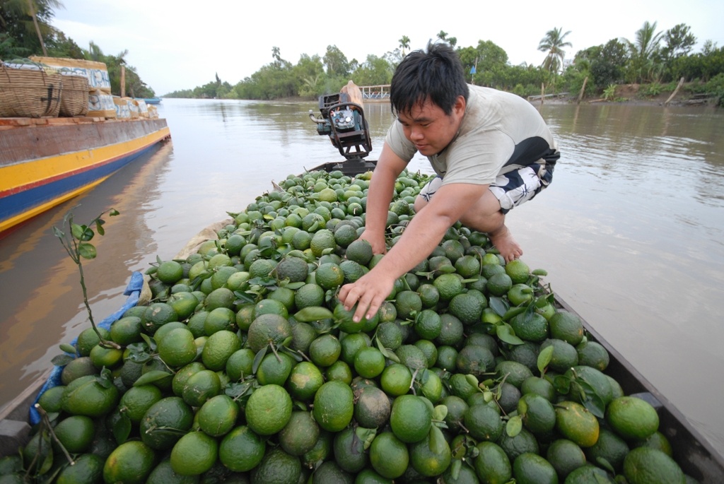 Lang ty phu cam sanh o Hau Giang hinh anh