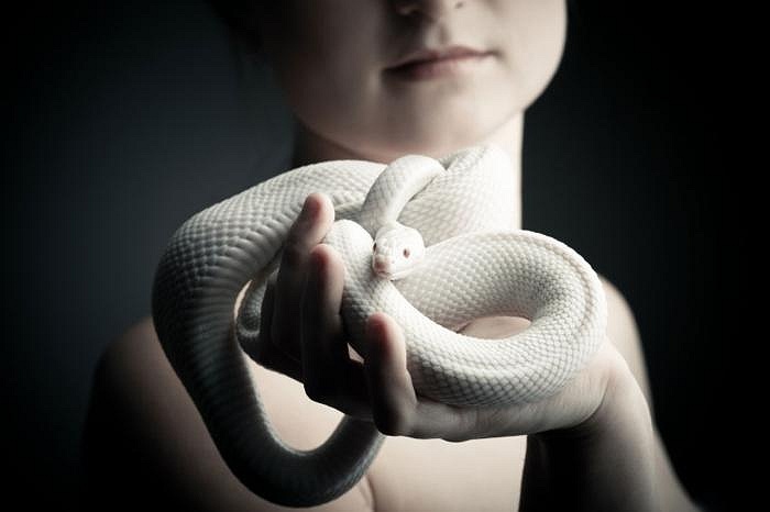 Với giá khoảng 40-<abbr class=