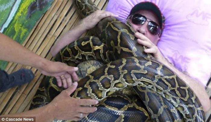 Trong ảnh là Ian Maclean, một người Scotland, đang được 4 con trăn Myanmar ở một vườn thú tại Philippines quấn chặt người.