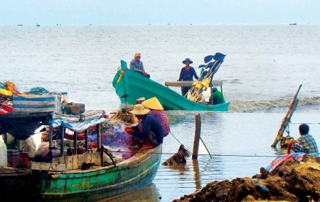 Ngư dân chuẩn bị ra khơi khai thác con banh lông. 