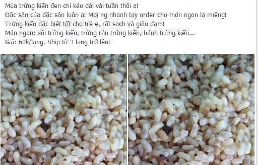Trứng kiến gai đen rất hút khách mặc dù giá không hề rẻ.