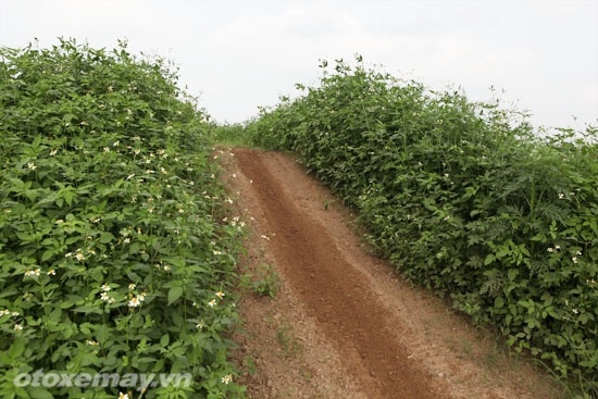  Cuối cùng là một con dốc đất đắp để về đích.