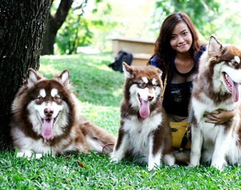 Cham thu cung kiem tien trieu dip nghi le hinh anh