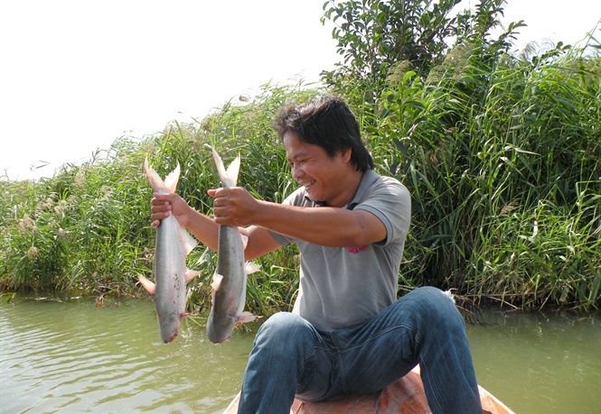 Thu tien ty moi nam nho nuoi ca bong lau trong ao hinh anh