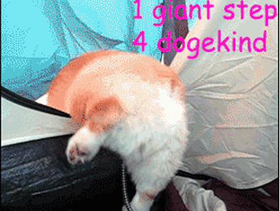 Anh dong vui: The hien la vao vien hinh anh