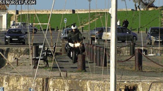 Cái thùng rác đáng ghét.